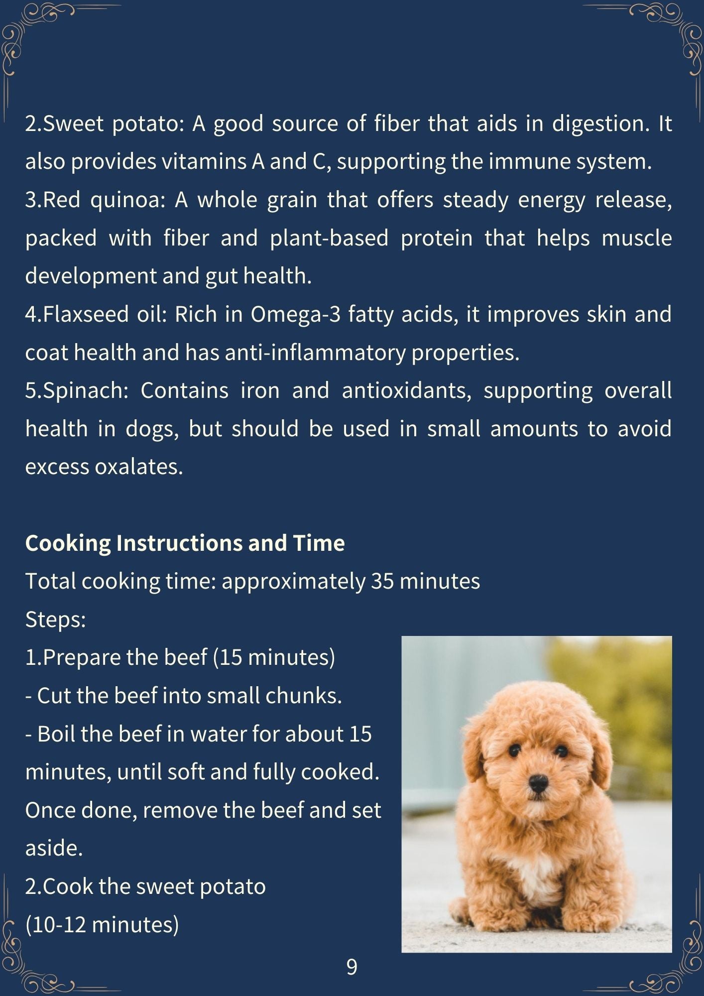 Say No to Processed Food-50 Healthy Meals You Can Make for Your Dog-Dark Mode(198 pages)